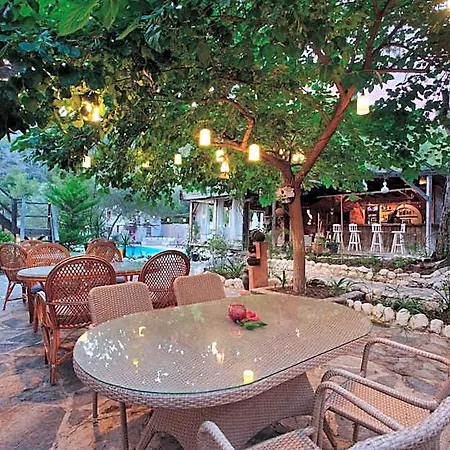 Inn Chakra Kabak Cedit