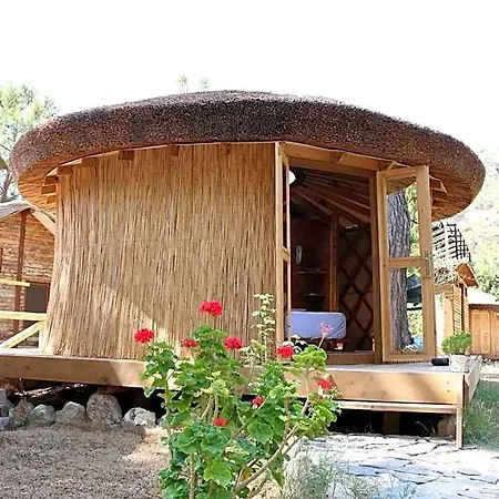 Chakra Kabak Hotel Cedit