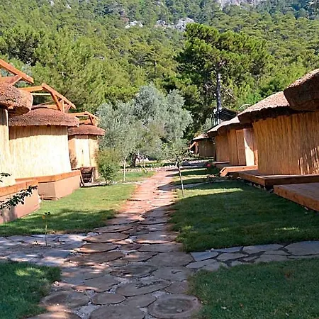 Chakra Kabak 4* Cedit